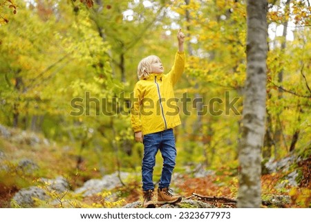 Similar – Image, Stock Photo Sun always shines after the rain. Small bond infant boy wearing yellow rubber boots and yellow waterproof raincoat walking in puddles in city park on sunny rainy day.