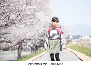 Elementary school girl celebrating the new semester with cherry blossoms and blue sky background
