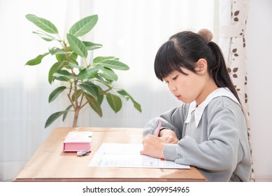 Elementary School Girl Studying For Entrance Exams