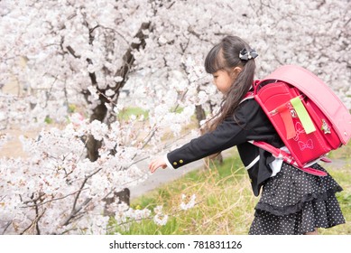 Elementary school students enrolling and cherry blossoms