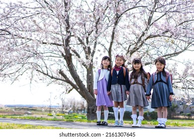 Elementary School Students Gathering Together On The Entrance Ceremony Day