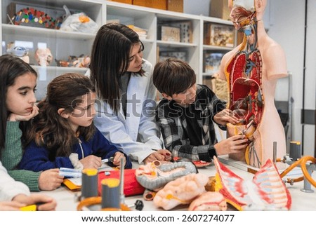 Elementary school students learning human body anatomy with teacher and anatomical model during biology class