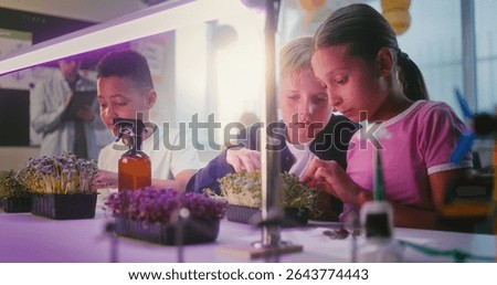 Elementary School Students Sitting at Table, Growing Experimental Microgreens, Using Tweezer, Spraying Nutritious Water. Group of Smart Kids Studying Biology in Multicultural Classroom. STEM Education
