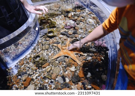 Elementary student boy touching star fish in a science center. Child science activity background.