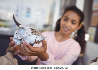 Elementary student examining animal skull at science laboratory - Powered by Shutterstock