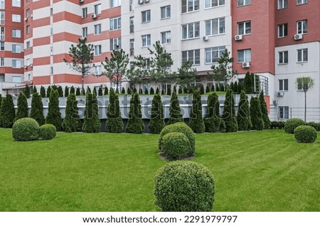 Elements of landscape design adjoining territory of multistorey residential complex. landscaped courtyard, young trees and spherical shrubs. Concept for development of territories and adjoining space