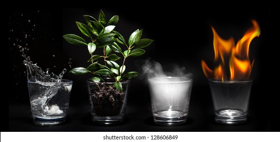 Elements of the nature in glasses - Natural concept - Shutterstock ID 128606849