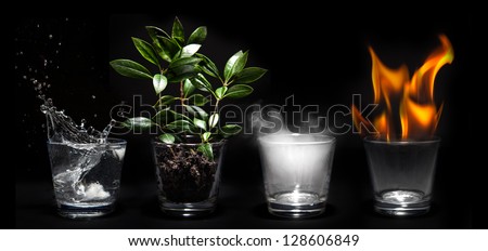 Elements of the nature in glasses - Natural concept