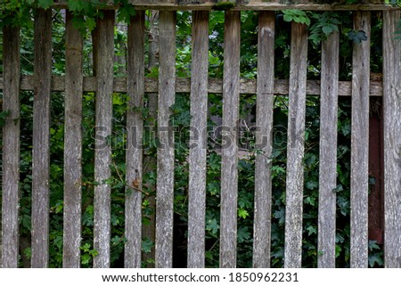 Similar – Image, Stock Photo Stories from the fence .156