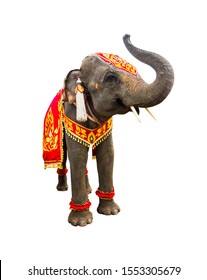 53,925 Indian elephant Stock Photos, Images & Photography | Shutterstock