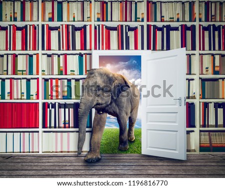 Elephant against book shelf in library