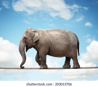 3,271 Elephant balance Images, Stock Photos & Vectors | Shutterstock