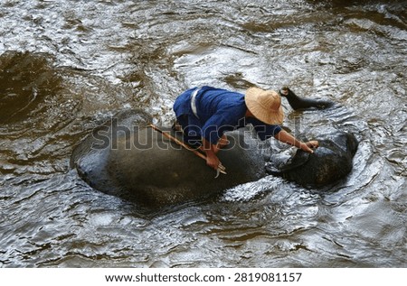 Elephant bathing a few years ago in Thaïland, a symbol of animal cruelty, now banned