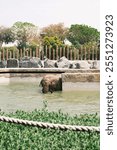 An elephant bathing in a water-filled enclosure surrounded by rocks and greenery, with trees and a wooden fence in the background.