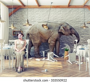 the elephant calm in a restaurant interior. photo combination concept