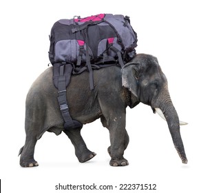 elephant carry on luggage