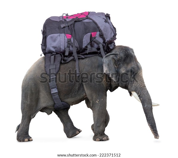 deuter bag 1