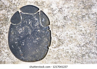 Elephant Foot Print