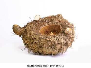 An Elephant Foot Yam Isolated In The White Background