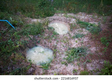 Elephant Footprint Tracks In Soil Sand