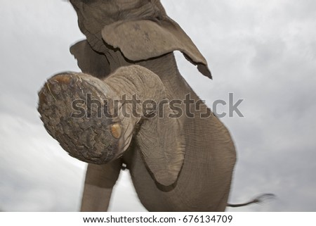 Similar – Image, Stock Photo Frog perspective | down at the TV tower