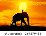 Elephant and grass silhouettes background with sun set.