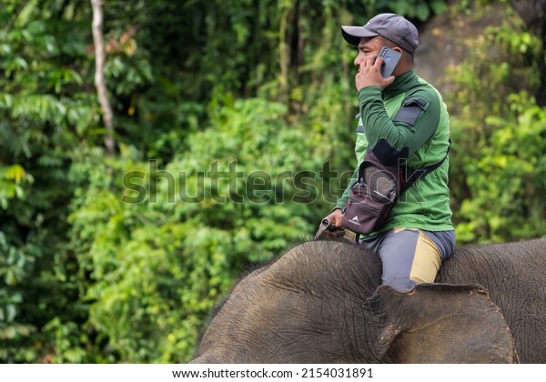 the elephant handler is\
sitting on the elephant\'s body while receiving the phone, Langkat,\
May 2, 2022