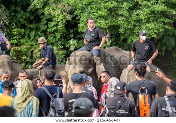 the elephant handlers are sitting on elephants while\
watching the group of visitors in front of the elephants, Langkat,\
May 2, 2022