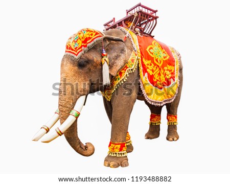 Elephant has beautiful and large isolated on white background. colorful painted elephant head ,Decorated elephants in Thailand.