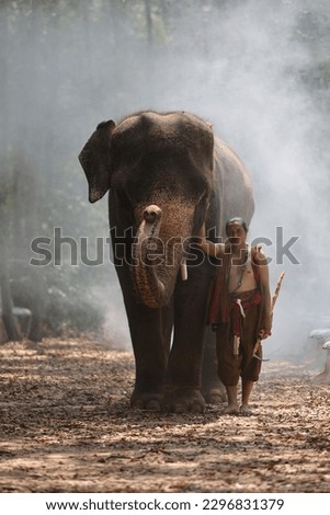 Elephant herder, village headman, elephant godfather