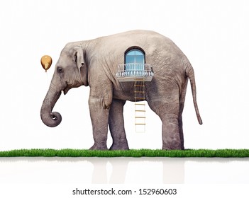 elephant as a house. creative concept