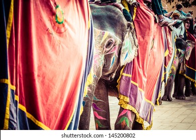 Elephant. India, Jaipur, State Of Rajasthan.