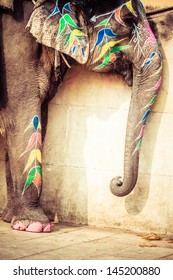 Elephant. India, Jaipur, State Of Rajasthan.