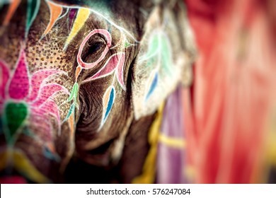 Elephant. India, Jaipur, State Of Rajasthan. 