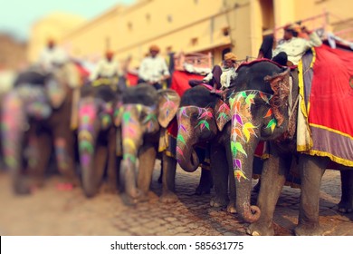 Elephant. India, Jaipur, State Of Rajasthan.