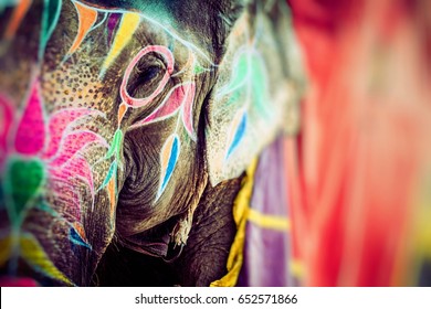 Elephant. India, Jaipur, state of Rajasthan. 