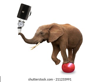 Elephant juggling briefcase, coffee and clock