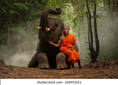 Elephant and Monk.