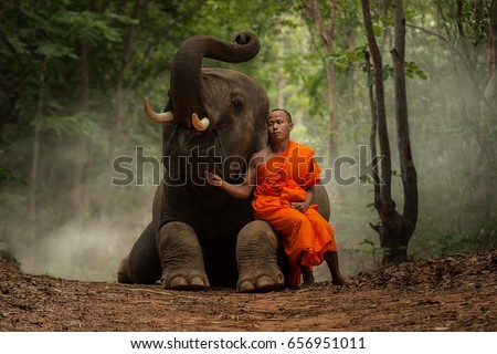 Elephant and Monk.