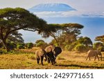 An elephant mother and a bull calf enjoy a quite moment under the great shadow of the immense Mount Kilimanjaro in this timeless scene at Amboseli National park, Kenya