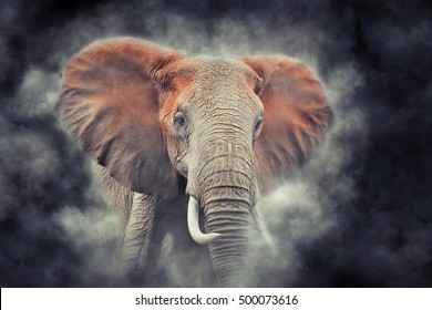Elephant in National park of Kenya, Africa. Elephant in smoke - Shutterstock ID 500073616