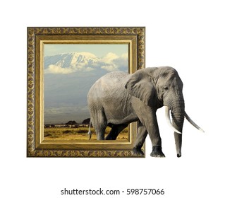 Elephant in old wooden frame with 3d effect
