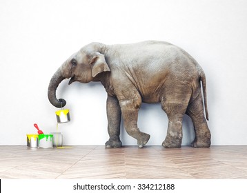 An elephant with paint cans. Photo combination concept
