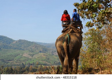 Elephant Ride In Thailand