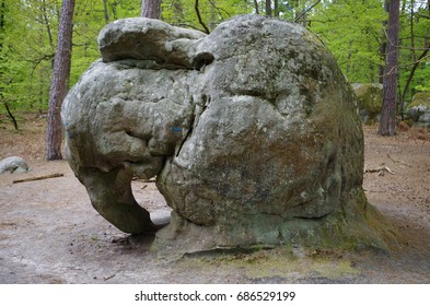 Elephant Rock in Fontainebleau Forest - France