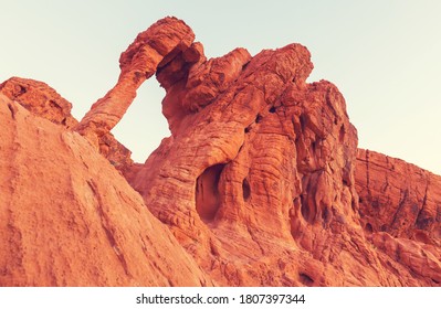 Elephant Rock in the Valley of Fire State park, Nevada, USA