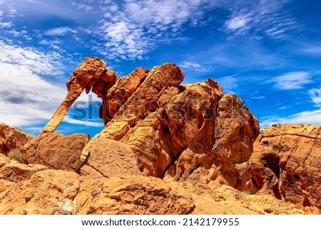 Elephant Rock at Valley of Fire State Park in a sunny day, Nevada, USA