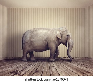Elephant in the room metaphor for an obvious problem or risk no one wants to discuss