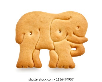 Elephant Shape Cookie