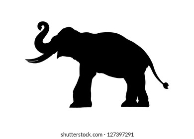  Elephant silhouette